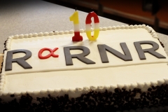RRNR2018 – International Conference On Non-Integer Order Calculus And Its Applications