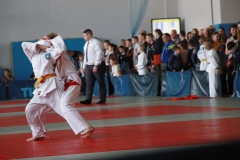 X Międzynarodowy Turniej Judo im. Leszka Piekarskiego
