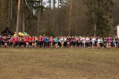 Akademickie Mistrzostwa Polski w Biegach Przełajowych Supraśl 2019