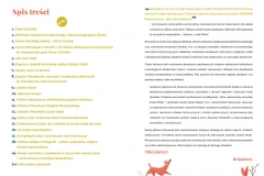 Zawartość publikacji „Lokalne Inspiracje” wydanej przez NCK