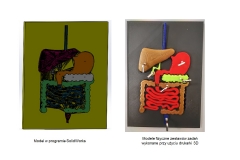 Trenażer do operacji laparoskopowych. Materiały: SKN BioTik