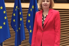 Assoc. Prof. Dorota Anna Krawczyk, DSc, PhD, Eng at the European Climate Pact community meeting. Photo: private archive