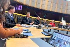 Assoc. Prof. Dorota Anna Krawczyk, DSc, PhD, Eng at the European Climate Pact community meeting. Photo: private archive