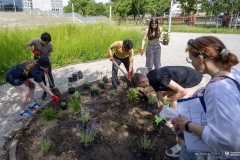 2025-06-06-My-Green-University-na-PB-fot-Dariusz-Piekut-PB