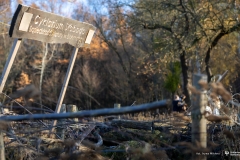 2025-11-07-WBiNŚ-dzień-architektury-krajobrazu-fot-Iryna-Mikhno-PB