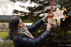 2025-12-01-Ubieranie-choinki-fot-Dariusz-Piekut-PB