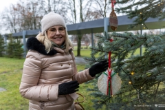 2025-12-01-Ubieranie-choinki-fot-Dariusz-Piekut-PB