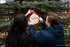 2025-12-01-ubieranie-choinki-fot-P.Jankowski-03