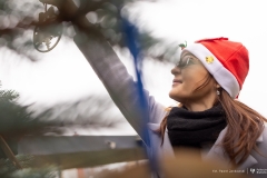 2025-12-02-ubieranie-choinki-fot-P.Jankowski-04