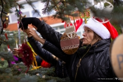 2025-12-03-ubieranie-choinki-fot-P.Jankowski-19