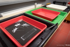 2025-12-12-Koło-naukowe-Ciemnia-fot-Dariusz-Piekut-PB