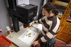 2025-12-12-Koło-naukowe-Ciemnia-fot-Dariusz-Piekut-PB