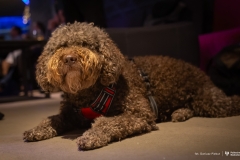 2026-01-14-Kawiarnia-naukowa-fot-Dariusz-Piekut-PB