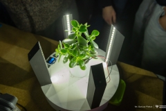 2026-01-29-Projekty-studentów-I-roku-mechatroniki-i-AiR-fot-Dariusz-Piekut-PB