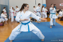 2026-02-28-AMP-w-Karate-fot-Dariusz-Piekut-PB