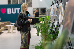 2026-03-25-Dni-Rumuńskie-fot-Dariusz-Piekut-PB