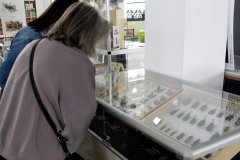 2026-05-06-Wykład-Owady-nie-takie-straszne-Biblioteka-PB-fot-Katarzyna-Cichoń