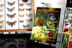2026-05-06-Wykład-Owady-nie-takie-straszne-Biblioteka-PB-fot-Katarzyna-Cichoń