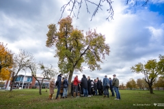 2024-10-23-Badania-drzewa-fot-Dariusz-Piekut