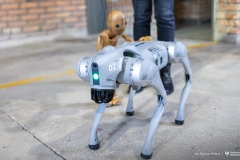 2025-04-02-Marionetka-cyberpies_fot-Dariusz-Piekut-PB
