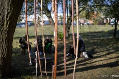 2024-10-08-Cyklarium-Słoboda-fot-Dariusz-Piekut