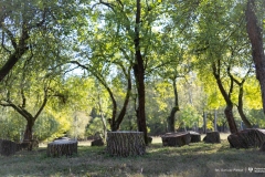 2024-10-08-Cyklarium-Słoboda-fot-Dariusz-Piekut