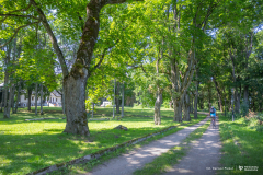 2026-08-05-Hołny-Mejera-fot-Dariusz-Piekut-PB
