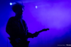 2024-09-07-DLA-CIEBIE-Festiwal-fot-Dariusz-Piekut-PB