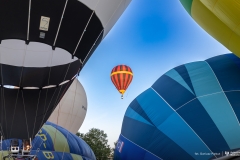 2025-08-21-fiesta-balonowa-fot-Dariusz-Piekut-PB