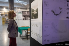 2025-12-12-Drewno-w-architekturze-fot-Dariusz-Piekut-PB