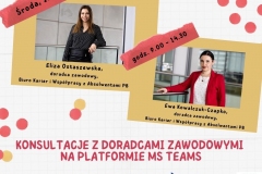 Grafika: Konsultacje z doradcami zawodowymi na platformie MS Teams