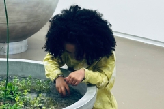 2025-03-17-Projekt-Hydro-sfera-na-Collectible-2025-7
