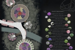 Olfactory Night Garden – Celestial Scents