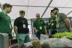 2026-06-19-Krajowe-Dni-Pola-fot-Dariusz-Piekut-PB