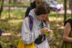 International-Mushroom-Summer-School-puszcza-fot-Piotr-Awramiuk-9-of-27