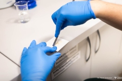 2025-10-15-patet-Lepicka_fot.Pawel.Jankowski