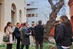 2025-01-23-Across-Perpignan-1