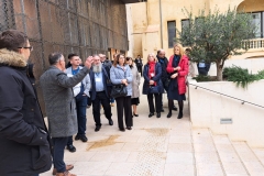 2025-01-23-Across-Perpignan-12