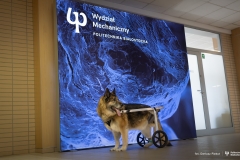 29-04-2024-Wózek-dla-psa-od studentów-z-koła-naukowego-Ortos-fot-Dariusz-Piekut
