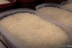 2025-11-24-WM-prof. Jabłrzykowski-fot-Iryna-Mikhno-PB