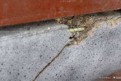 2025-11-19-WBiNŚ-Pani Rektor-projekt betonowy-fot-Iryna-Mikhno-PB