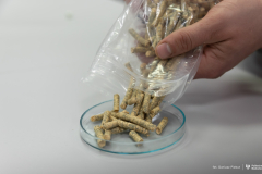 2026-04-30-Patent-Pellet-o-podwyższonej-kaloryczności-fot-Dariusz-Piekut-PB