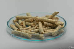 2026-04-30-Patent-Pellet-o-podwyższonej-kaloryczności-fot-Dariusz-Piekut-PB