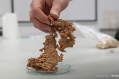 2026-04-30-Patent-Pellet-o-podwyższonej-kaloryczności-fot-Dariusz-Piekut-PB