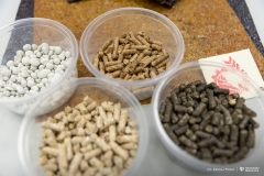 2025-12-18-Koło-naukowe-Rolka-fot-Dariusz-Piekut-PB