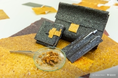 2025-12-18-Koło-naukowe-Rolka-fot-Dariusz-Piekut-PB