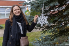 2024-12-06-Ubieranie-choinki-fot-Dariusz-Piekut