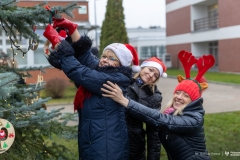 2024-12-06-Ubieranie-choinki-fot-Dariusz-Piekut