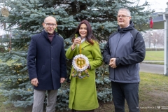 2024-12-06-Ubieranie-choinki-fot-Dariusz-Piekut