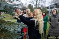 2024-12-06-Ubieranie-choinki-fot-Dariusz-Piekut